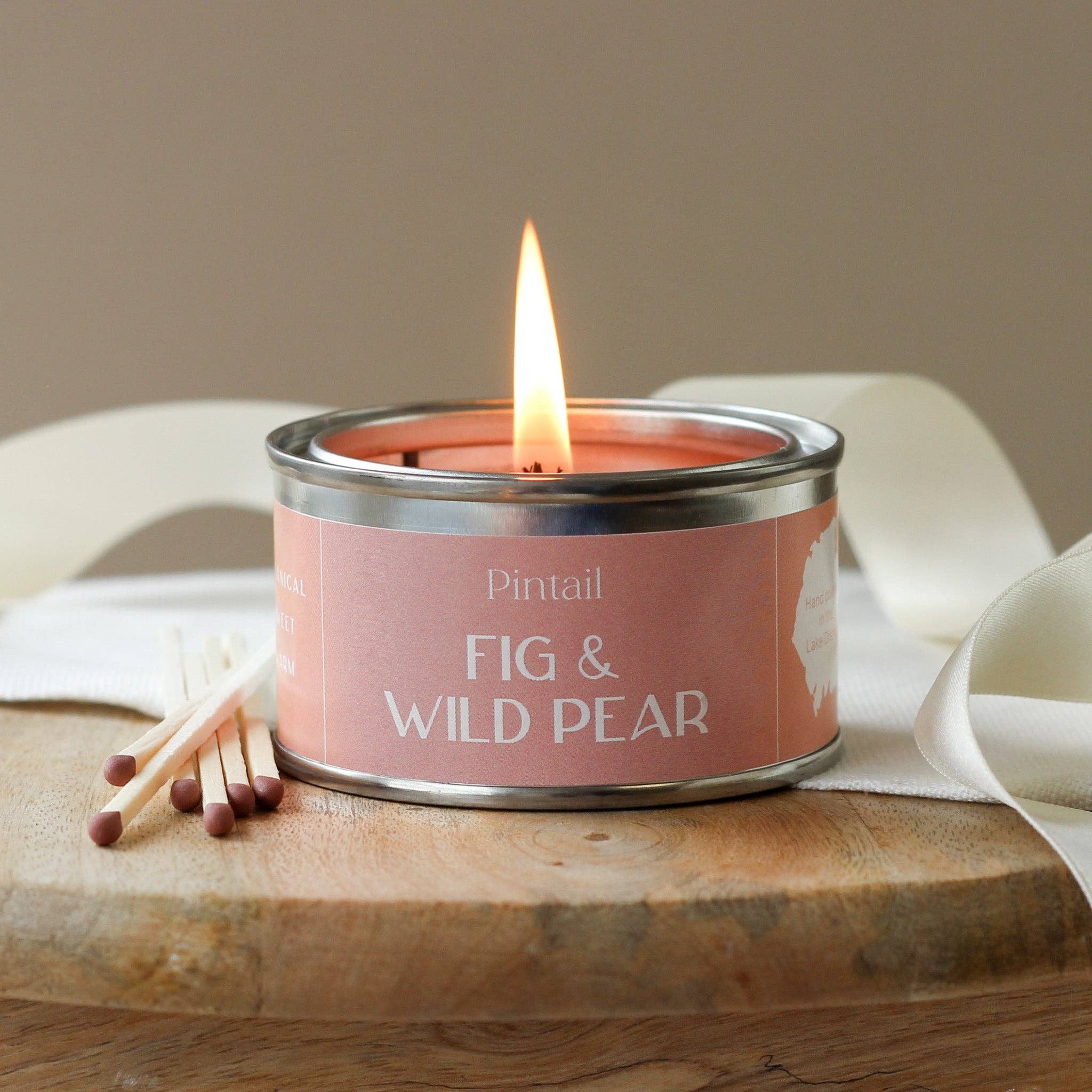 Pintail Fig & Wild Pear Paint pot candle