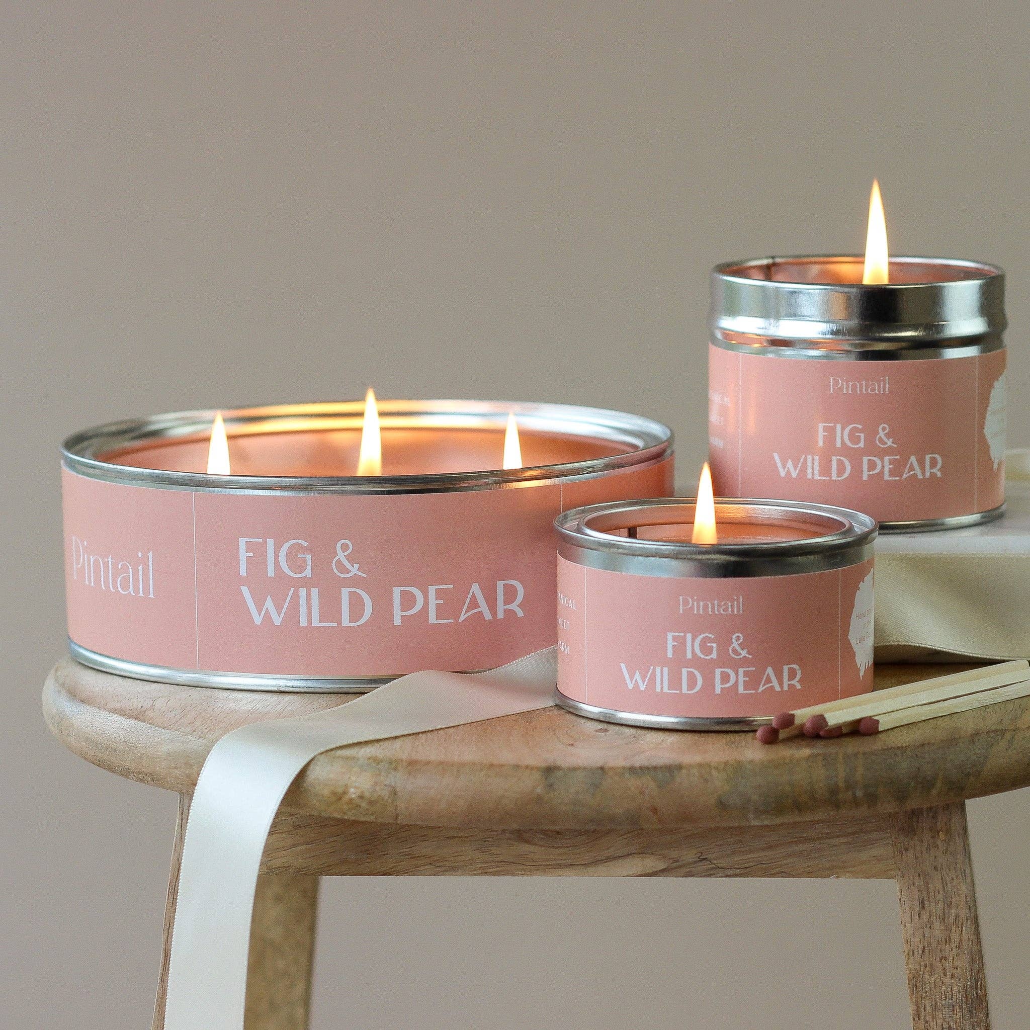 Pintail Fig & Wild Pear Paint pot candle