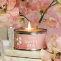Pintail Sweet Pea Petite Candle