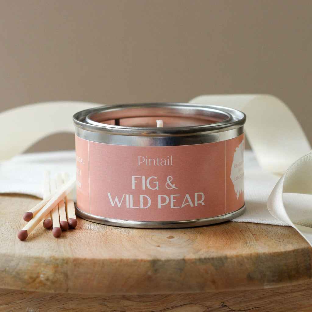 Pintail Fig & Wild Pear Paint pot candle